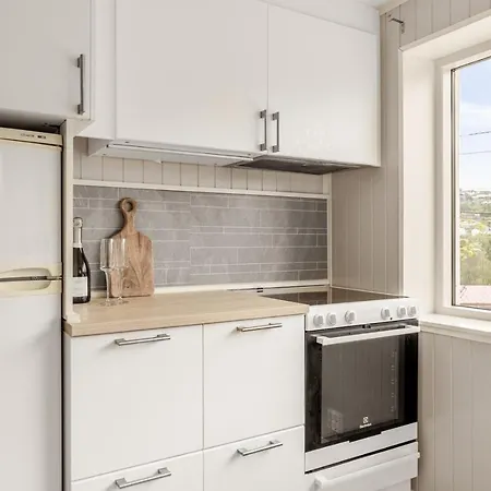 Apartamento And Cozy In Laksevag *